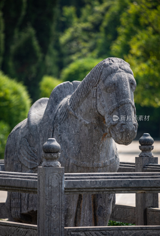 洛阳白马寺入口门白马石狮子景点景观