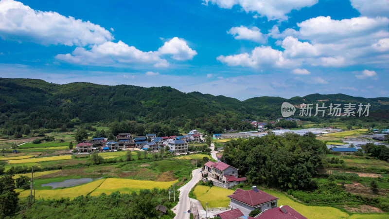 山川丘陵农田农业种植美丽乡村航拍图