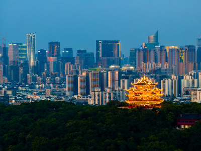 中国杭州西湖城隍阁夜景