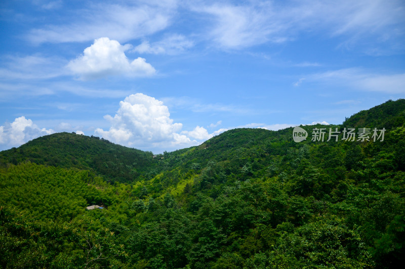 山中的风景