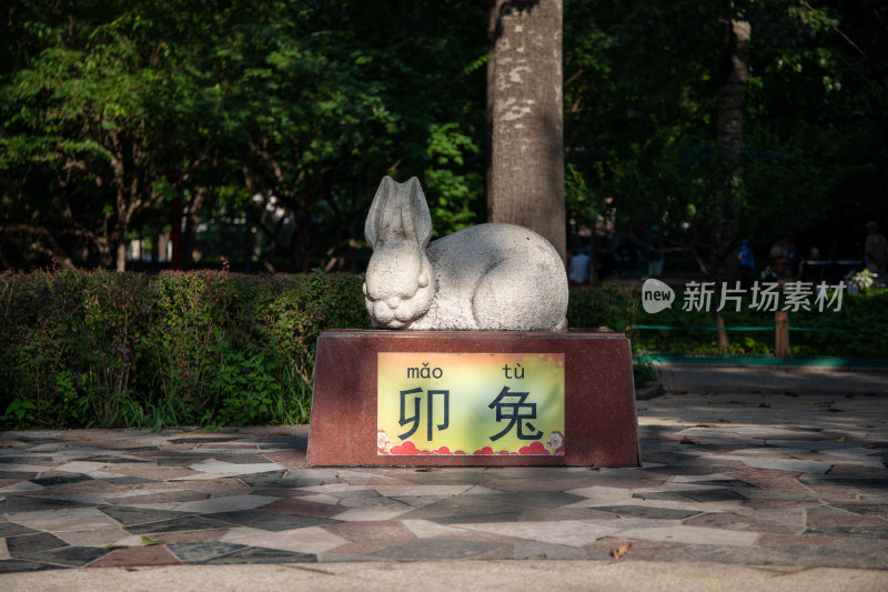 北京红领巾公园