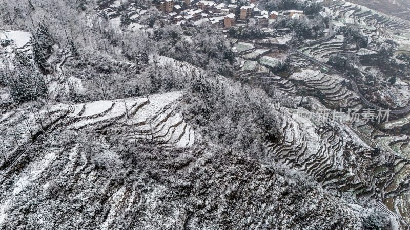 重庆酉阳：大雪纷飞赏雪忙