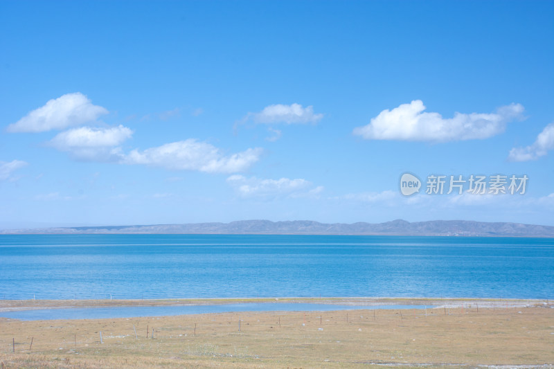 秋天晴朗的青海湖高原牧场自然风光