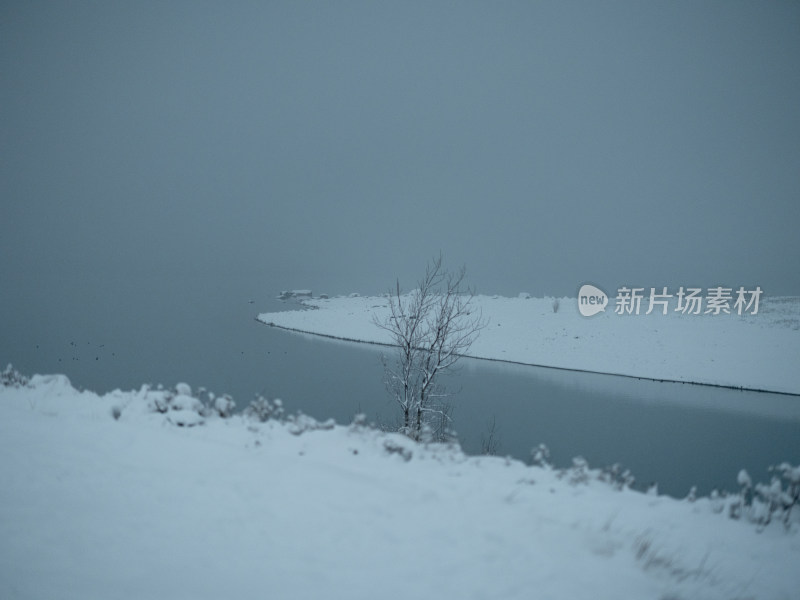 Lake Tekapo蒂卡波湖 湖景