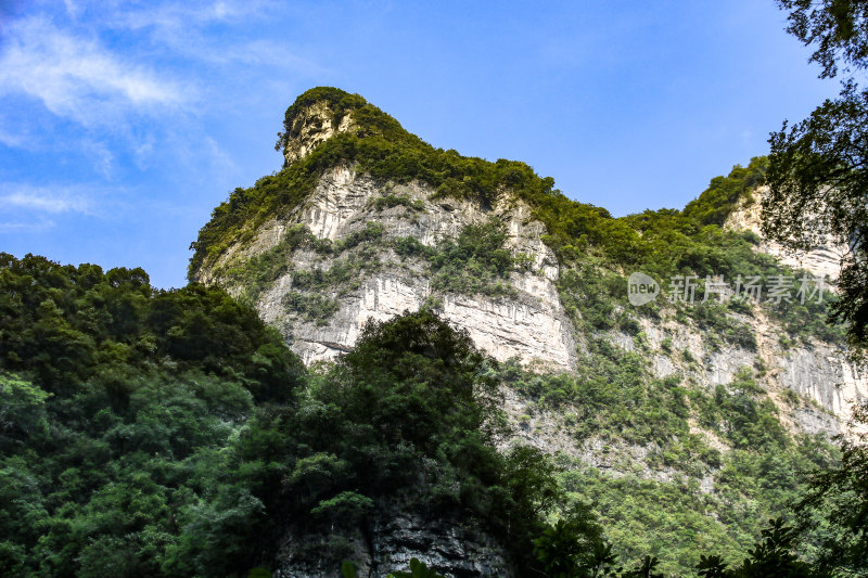 湖北宜昌三峡竹海风景区，自然风光，竹海