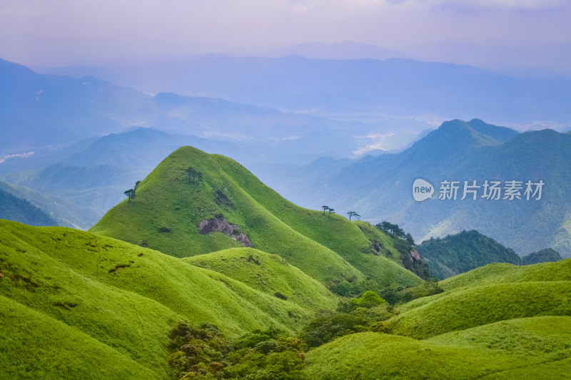 江西武功山高山草甸