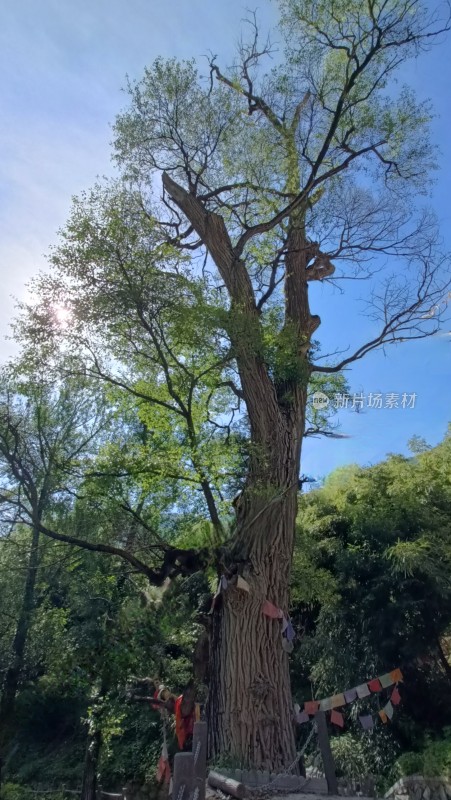 手机拍摄的大美新疆