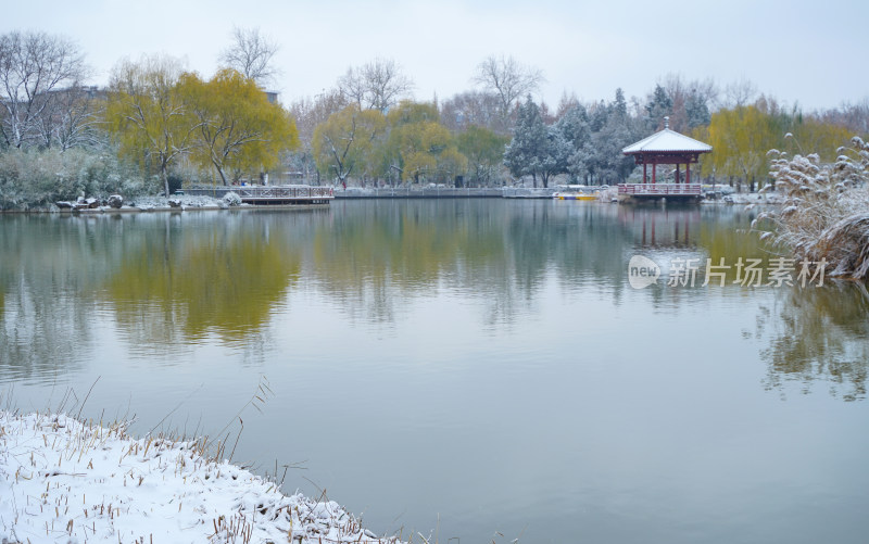 公园湖泊雪景