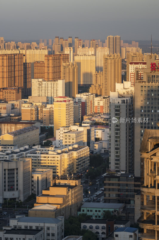 哈尔滨夜景地标性建筑龙塔