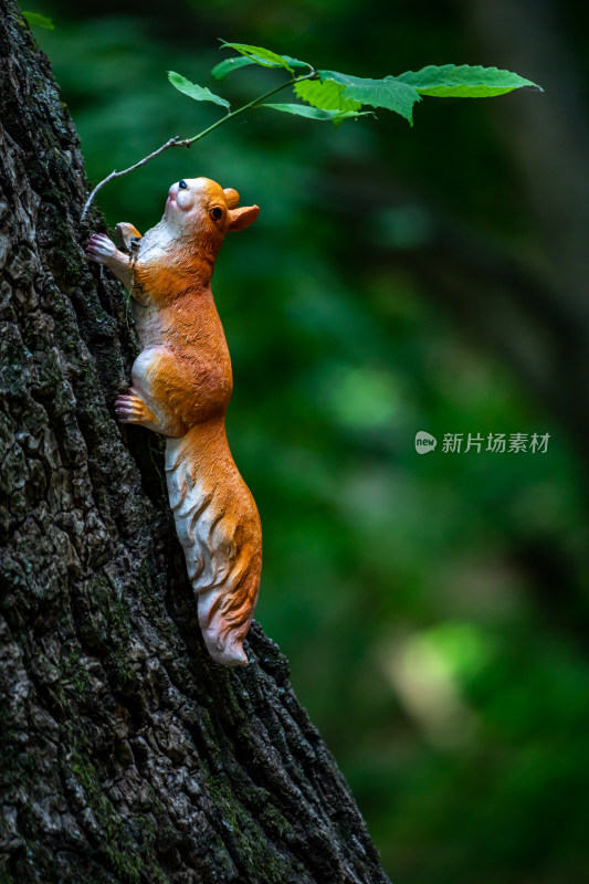 西安秦岭终南山南五台树上的松鼠特写