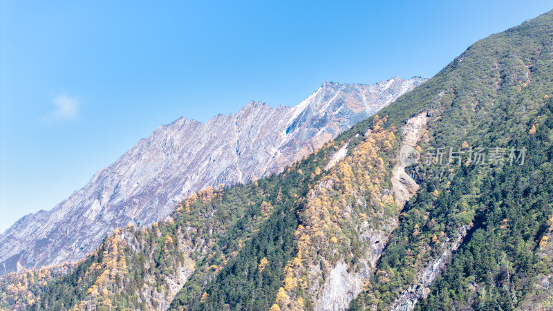 四川阿坝理小路的山区秋日风景