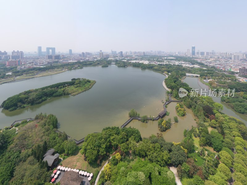 广州海珠湖海珠湿地航拍