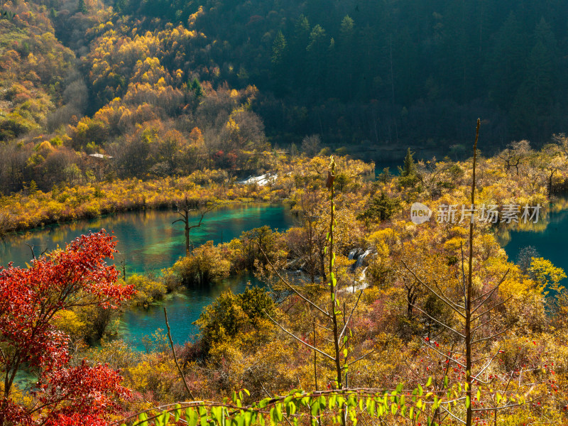 九寨沟秋景