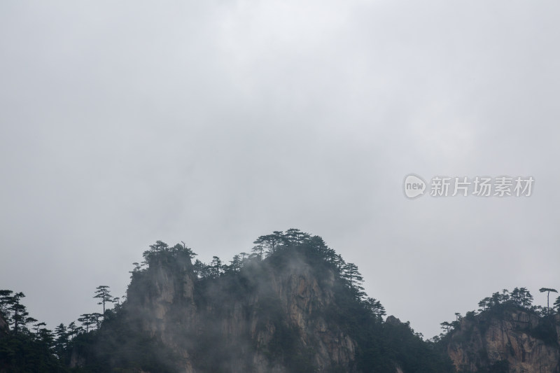 云海中的大明山