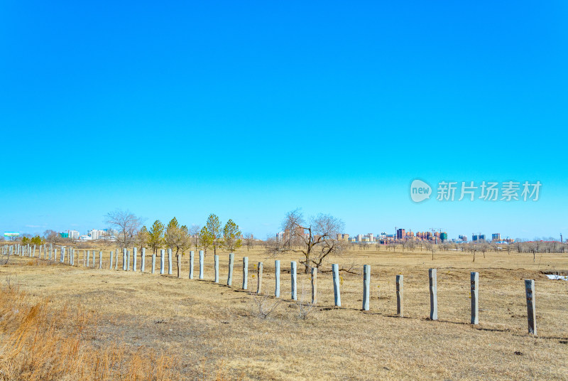 内蒙古呼伦贝尔海拉尔草原秋景与枯树