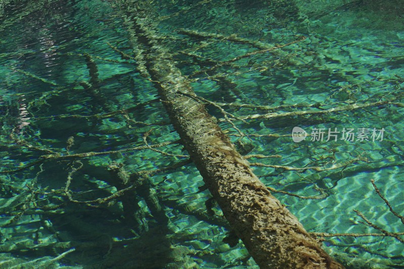 九寨沟绚烂多彩的湖泊河流高山航拍特写