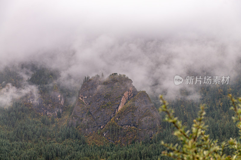 云雾缭绕的森林山峰