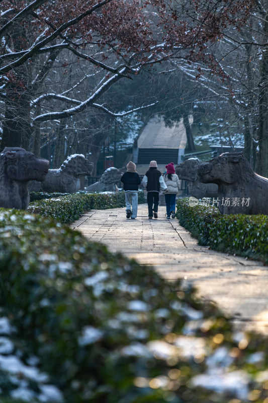 南京明孝陵石象路神道雪景