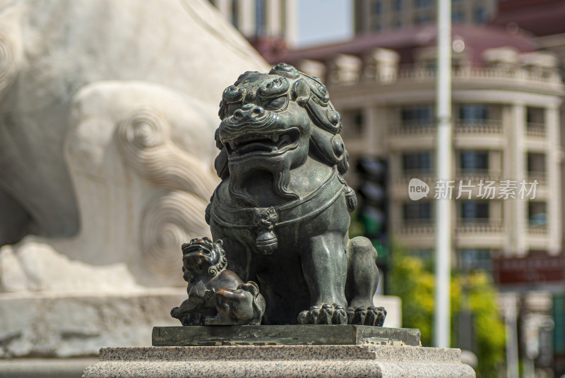 天津狮子林桥桥上狮子特写