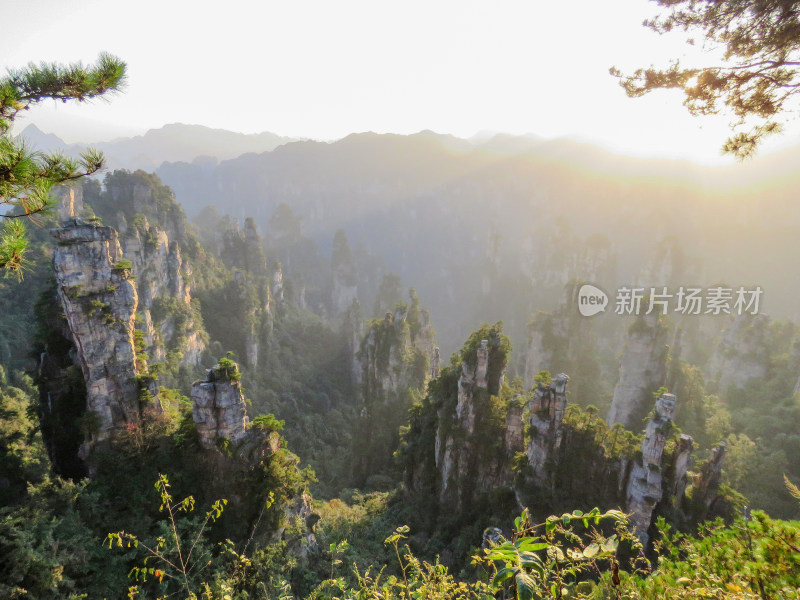 中国湖南张家界国家森林公园旅游风光