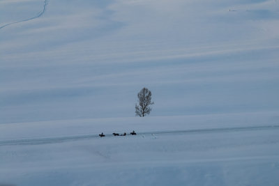 新疆北疆阿勒泰禾木冬季雪景童话世界航拍