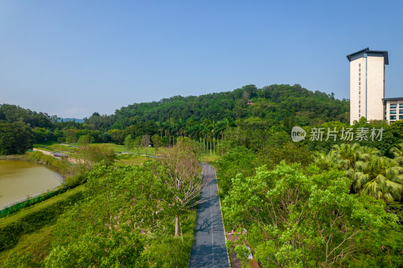 深圳环西丽湖碧道