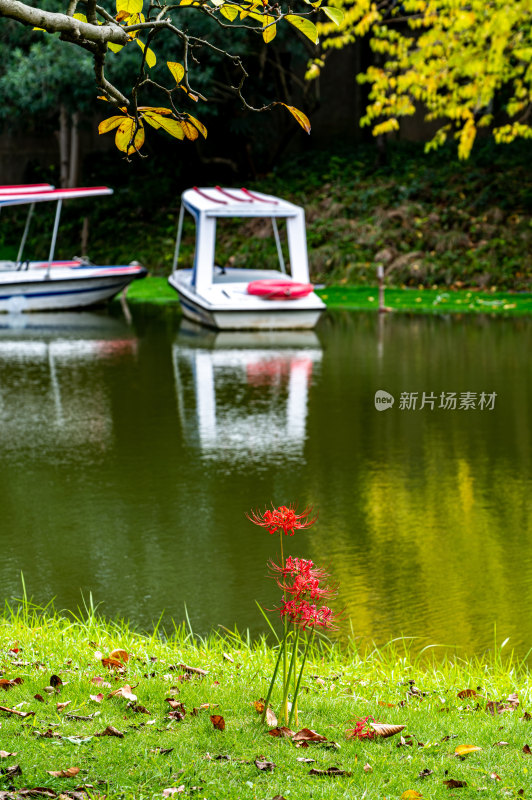 上海植物园自然风景景点景观