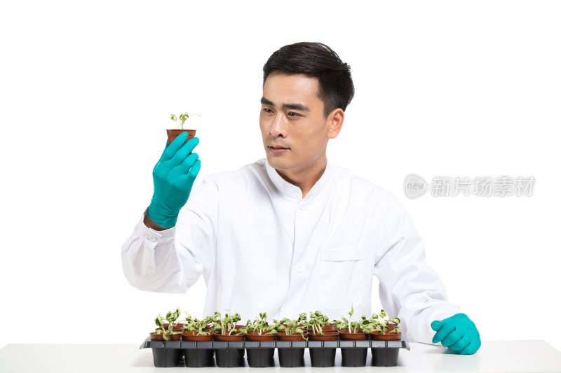 男科学家研究观察植物幼苗