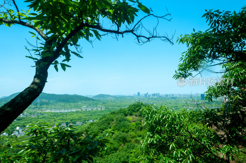 山中的自然风景