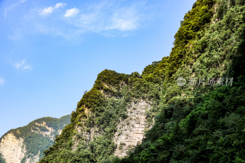 湖北宜昌三峡竹海风景区，自然风光，竹海