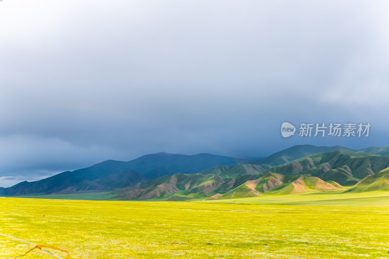 中国新疆巴音布鲁克草原
