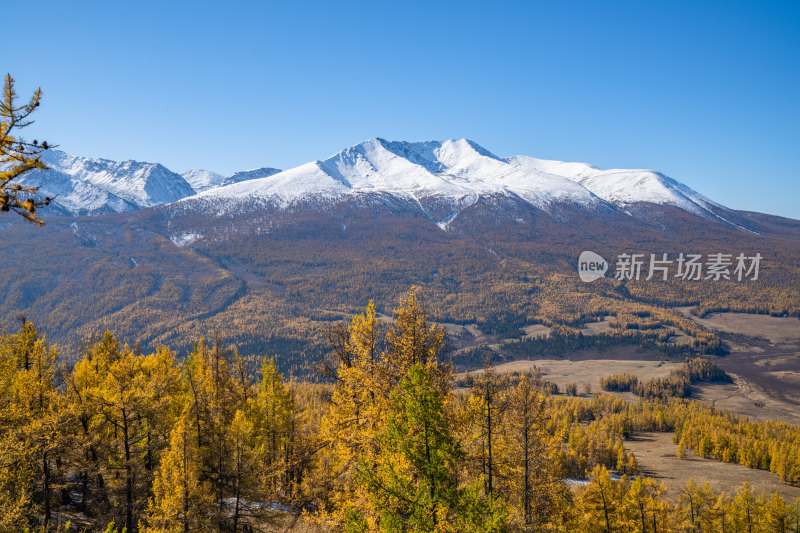 新疆北疆阿勒泰秋日雪山