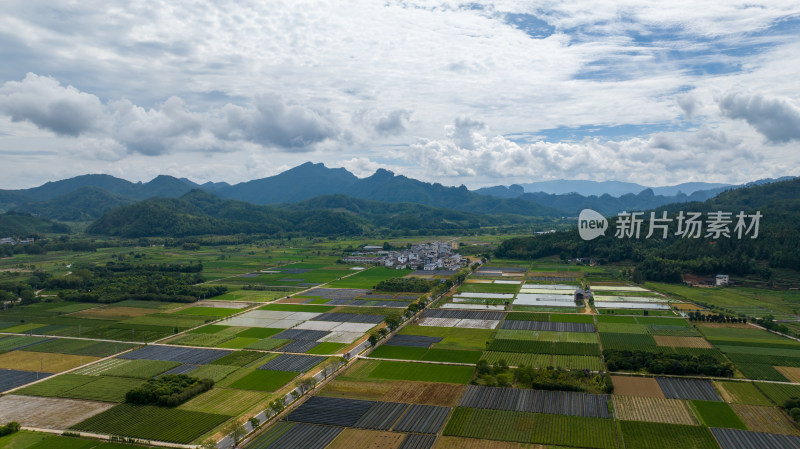 航拍武夷山绿色农田与茶园