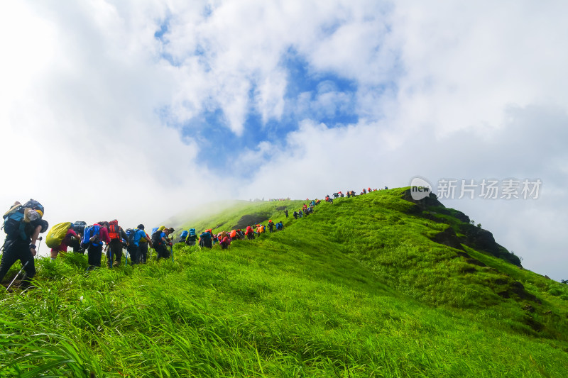 夏天江西武功山的高山草甸