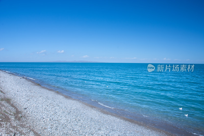 中国西部青海青海湖秋季自然风光