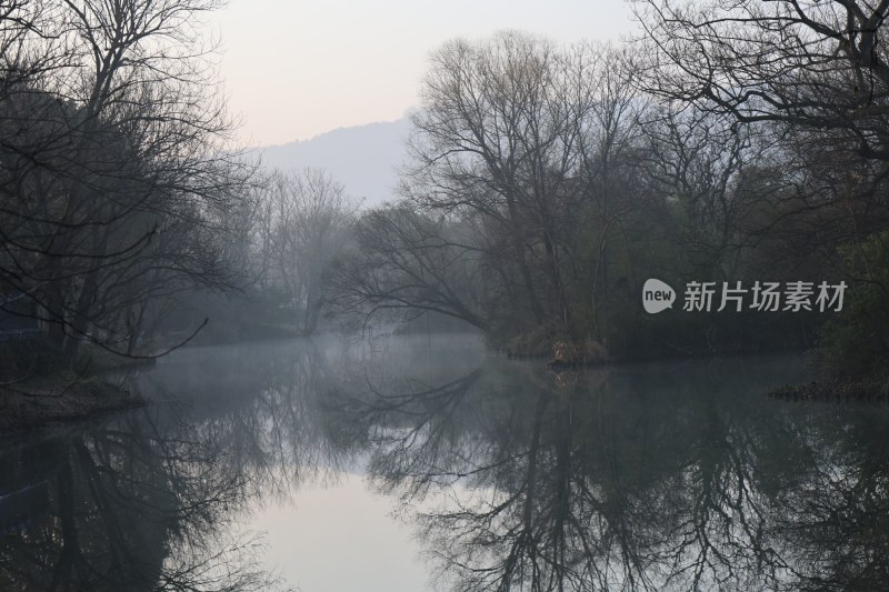 薄雾笼罩下静谧的湖水与树木倒影