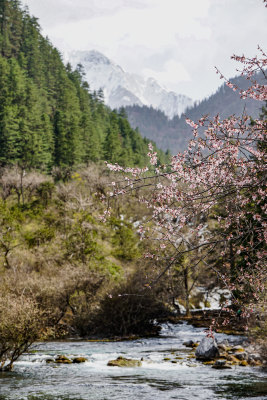 九寨沟海子雪山景观