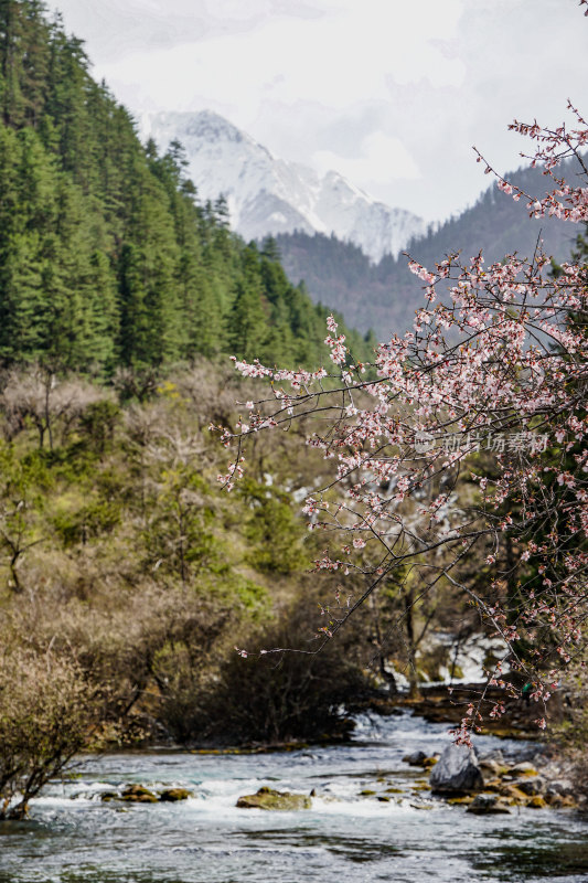 九寨沟海子雪山景观