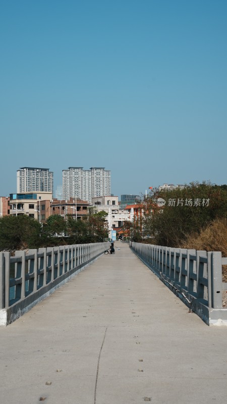 海边富士风空景