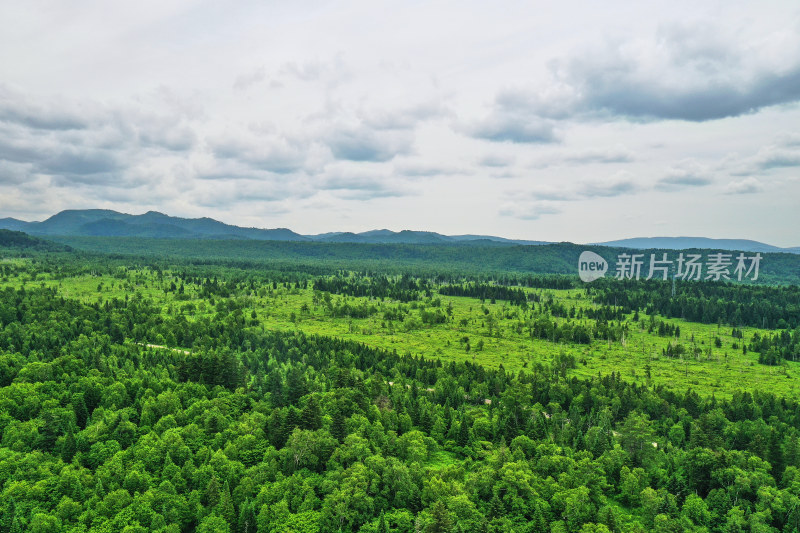 长白山高山花园风光