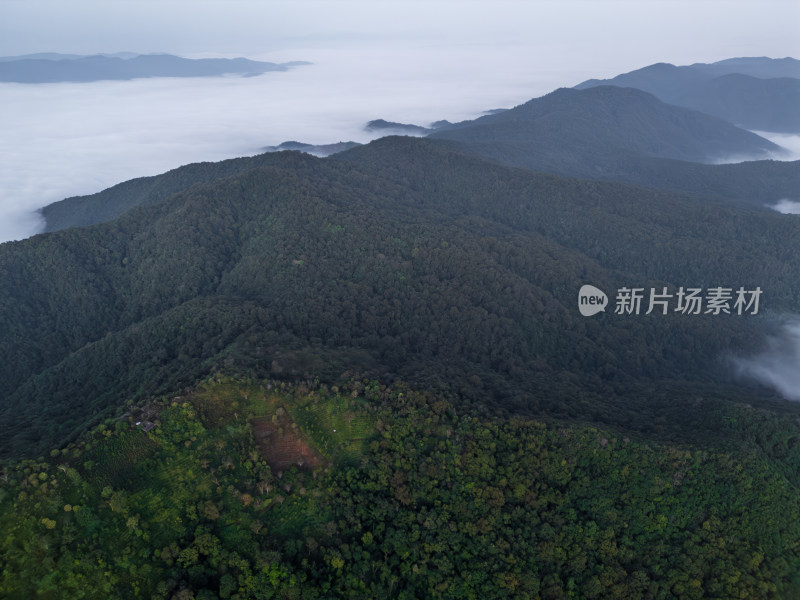 航拍山间云雾中的森林