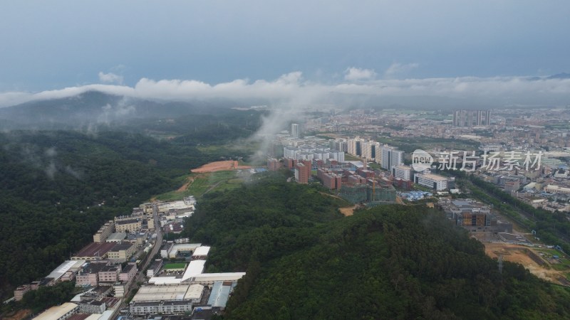 广东东莞：雨后清溪镇云雾缭绕宛如仙境