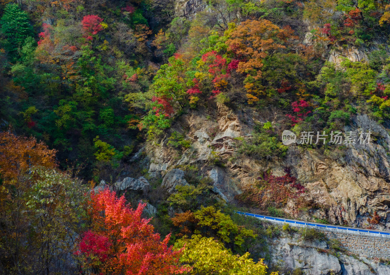 河南洛阳白云山风景区山路上的转弯处