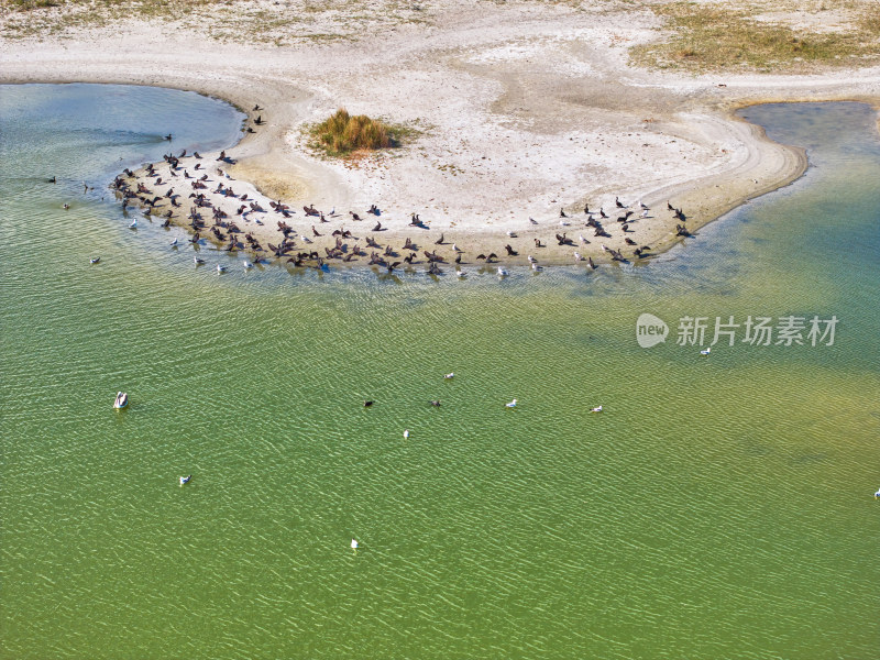 新疆乌伦古湖候鸟湿地保护区