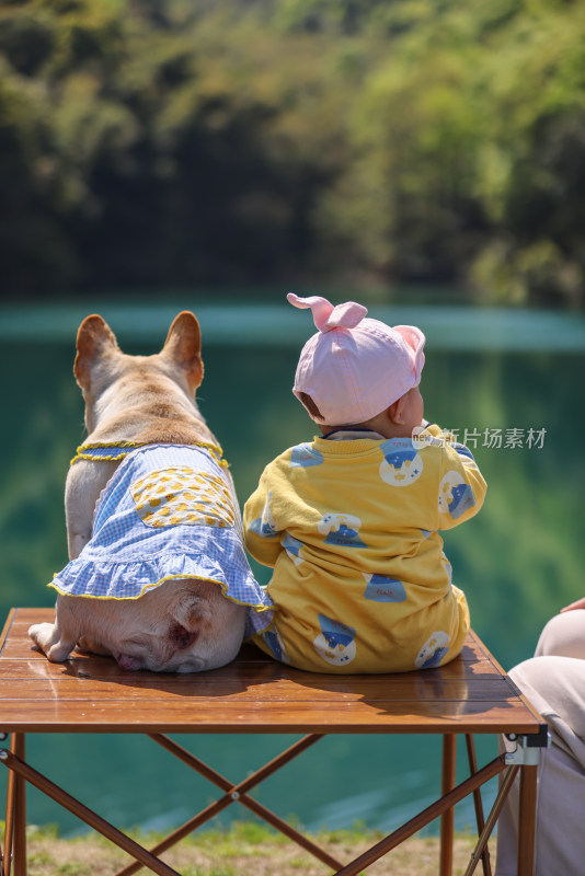 坐在长椅上的狗和婴儿的后视图