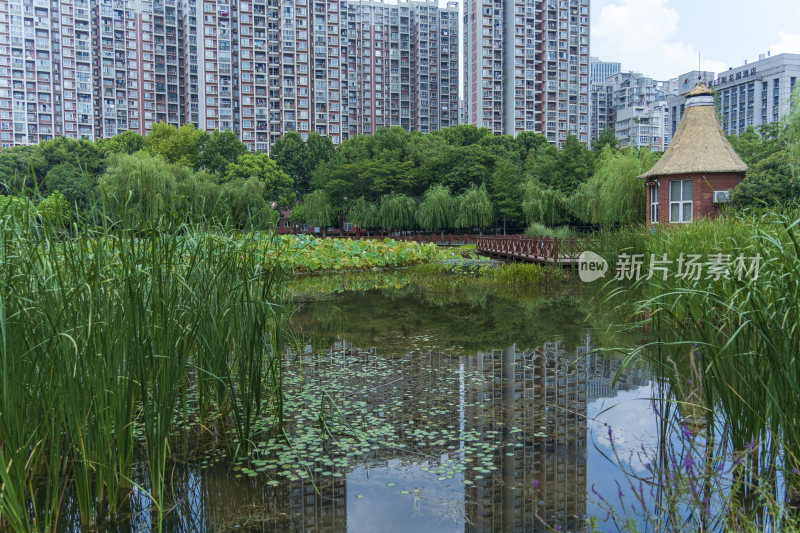 武汉关山荷兰风情园风景