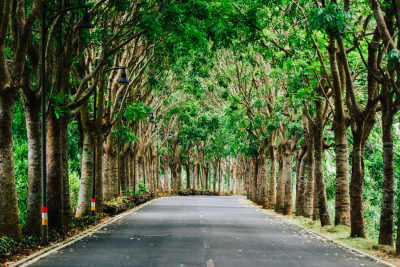 万宁海南环岛路