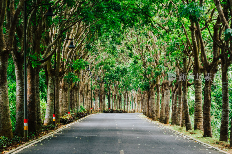 万宁海南环岛路