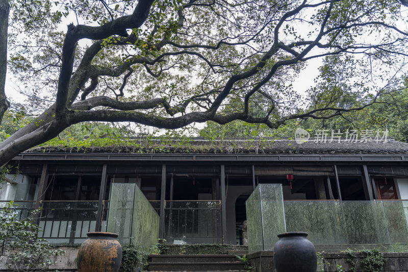 杭州宝石山景区宝云寺遗址