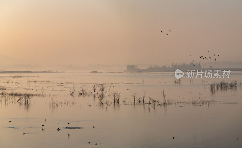 日出时的孟子湖湿地湖泊景观